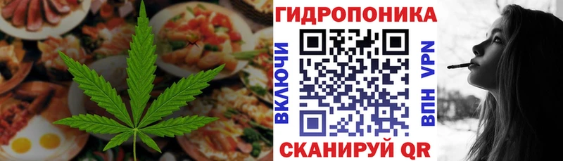 где купить наркоту  Кинель  Cannafood марихуана 