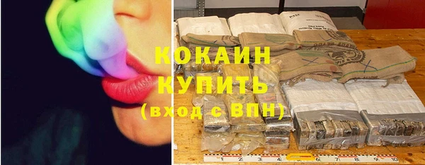 соль ск Гусь-Хрустальный
